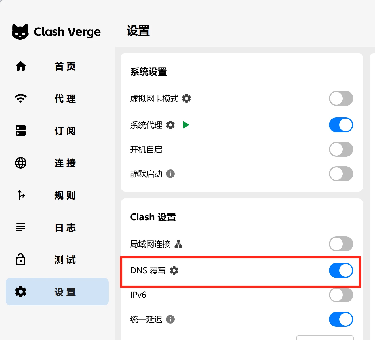 clash verge dns override